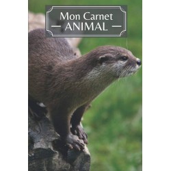 carnet de notes loutre